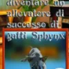 17 Passi Per Diventare Un Allevatore Di Successo Di Gatti Sphynx
