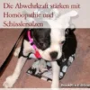 Abwehrschwäche beim Hund Die Abwehrkraft stärken mit Homöopathie und Schüsslersalzen