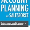 Account Planning in Salesforce