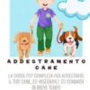 Addestramento Cane