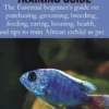 African Cichlid Training Guide