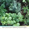 Agro Forestrium Sejarah Perkembangan Jurusan Kuliah Pengobatan Tradisional Herbal Yang Ada Di Kampus Indonesia (Traditional Herbal Medicine Program)