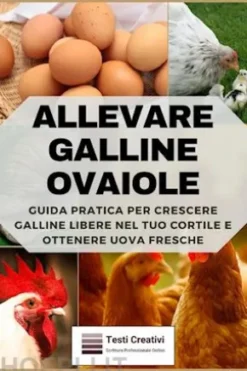 Allevare Galline Ovaiole