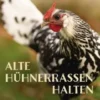 Alte Hühnerrassen halten