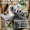 Anglais Pour Les Nulles - Livre Anglais Français Facile A Lire