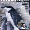 Anglais Pour Les Nulles - Livre Anglais Français Facile A Lire