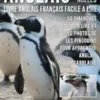 Anglais Pour Les Nulles - Livre Anglais Français Facile A Lire