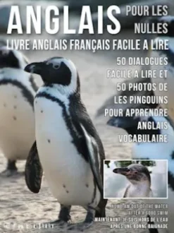 Anglais Pour Les Nulles - Livre Anglais Français Facile A Lire