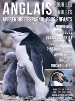 Anglais Pour Les Nulles - Livre Anglais Français Facile A Lire