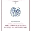 Aporie applicative nel microcosmo punitivo 231/2001 e supplenza del diritto pretorio