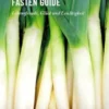 Apotheke Niklasdorf Fasten Guide