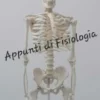 APPUNTI DI FISIOLOGIA da Corso Universitario Completo