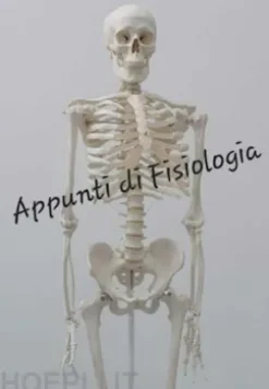 APPUNTI DI FISIOLOGIA da Corso Universitario Completo