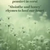 "Assenzio e miele" Pensieri in versi - "Absinthe and honey" rhymes to heal our heart