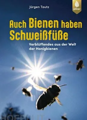 Auch Bienen haben Schweißfüße
