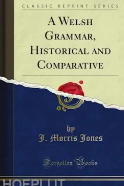 A Welsh Grammar, Historical and Comparative