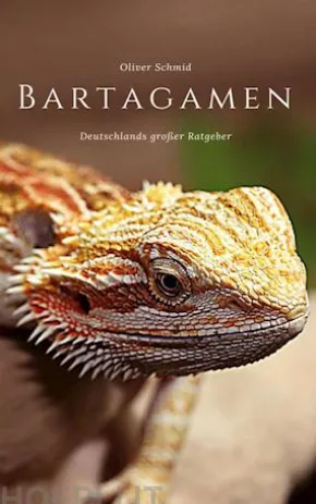 Bartagamen