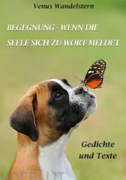 Begegnung - wenn die Seele sich zu Wort meldet