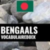 Bengaals vocabulaireboek