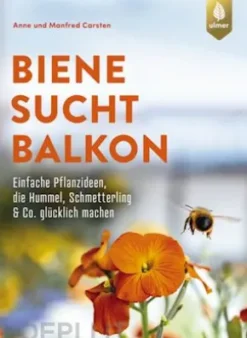 Biene sucht Balkon