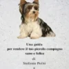 Biewer Terrier