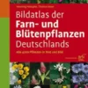 Bildatlas der Farn- und Blütenpflanzen Deutschlands