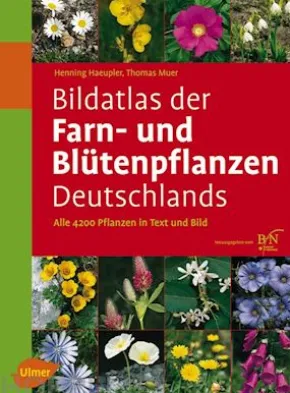 Bildatlas der Farn- und Blütenpflanzen Deutschlands