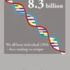 8.3 billion