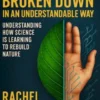 Bioengineering Broken Down In An Understandable Way