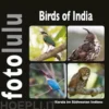 Birds of India