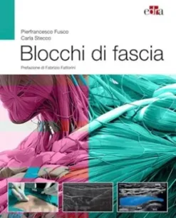Blocchi di fascia