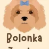 Bolonka Zwetna