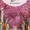 Bonn und Siebengebirge - HeimatMomente