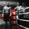 Boxen