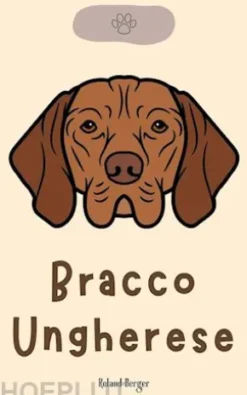 Bracco Ungherese