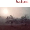 Brachland