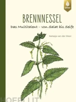 Brennnessel