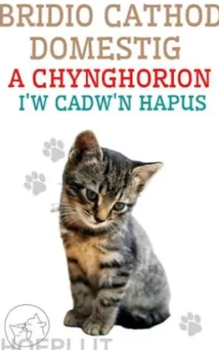 Bridio Cathod Domestig a Chynghorion i'w Cadw'n Hapus