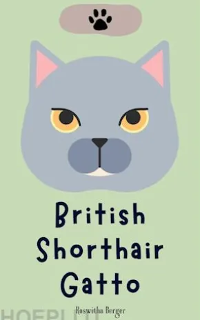 British Shorthair Gatto