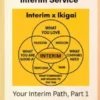 Build Your Own Interim Service