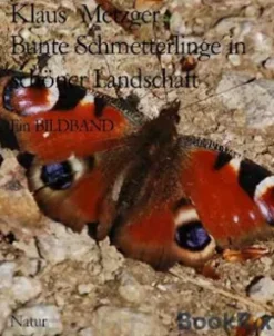 Bunte Schmetterlinge in schöner Landschaft