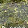 Buntgewichtig
