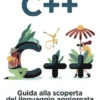 C++