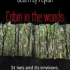 Cabin in the woods