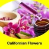 Californian Flowers