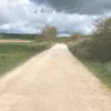 Camino Francés