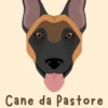 Cane da Pastore Belga (Malinois)