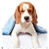 Canine Parvovirus