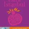 Cara Istanbul