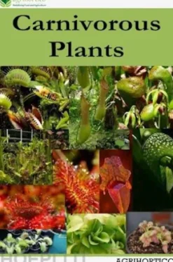 Carnivorous Plants